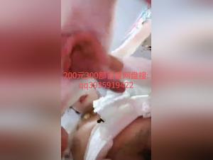  Dirty Dogs and Whores Looking for Sex