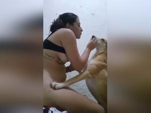 horsecock woven into the tickzoo tale