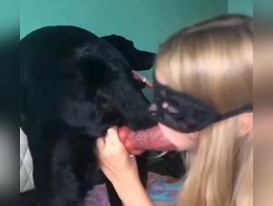 Esperienza bestiale intensa: cazzo con cane lubrico e buffonate
