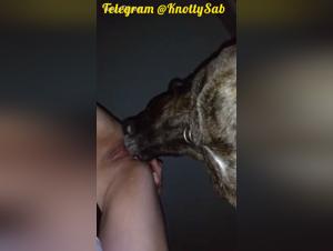Hardcore Zoophilie: Wildes Ficken von einem Hund