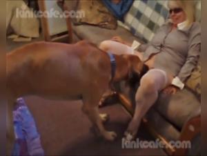 The union between Taylor and her dog: a passionate encounter for animal lovers