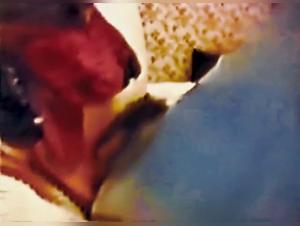 Porno vintage: l'ossessione fetish di Capucine