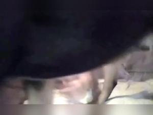 Zoophilia video: a woman and her dog