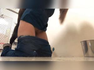 Hidden Communities: Bestiality Lovers Unite