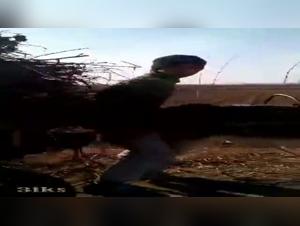 Bestiality Video: Woman and Horse