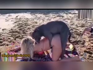 Canine Delights on the Beach