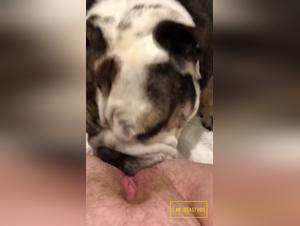 Leccatura profonda, orgasmo incredibile