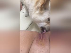 Unveiling Taboo Fantasies