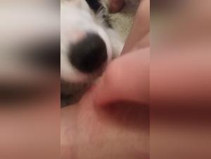 Extreme sex scene with a dog: urinating on the face of a male dog