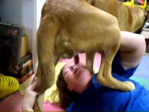 Tabu infranti, delizie brutali: l'esplorazione degli animali di Layla