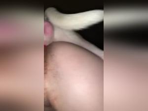 Bestiality Tube: Unveiling the Truth