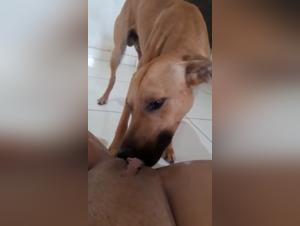 Amateur zoophile video with a dog