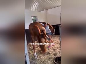 Eine heiße Szene mit einem Pferd