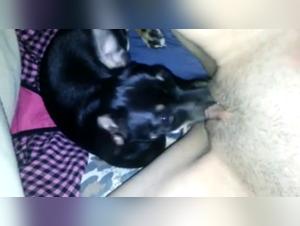 Bestial and Extreme Video