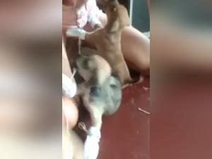 Una historia de pasion prohibida