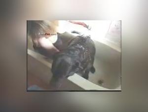 Discover the Ecstasy of Zoophilia