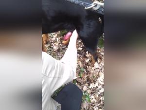 woman can't get loose from dog knot