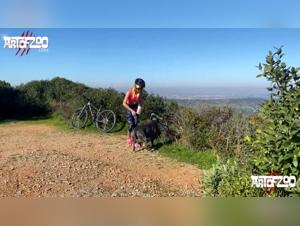 Bestiality in all its Glory