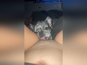 Sex video with dog: extreme and exciting