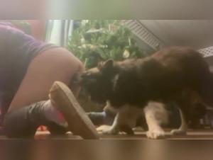 Discover the World of Bestiality and Extreme Sex