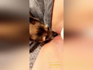 Sensory Freedom: Hardcore Animal Fuck