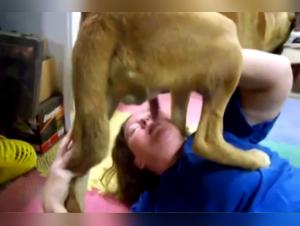 tickzoo.tv: exclusive content unveiled