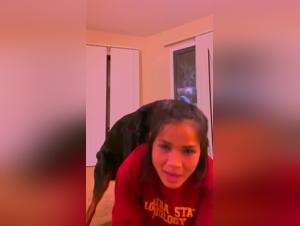 Amateur dog sex videos: shocking leak