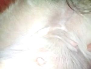 The Slut and her Dog: Raw satisfaction and intensive licking