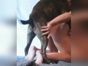 Bestiality sex video with a BBW and her dog