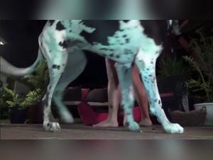 Dalmatians on the Rampage: Crazy and Irresistible Kiss
