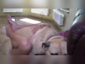 Extreme sex video with a woman and a dog