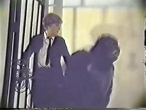 An Extreme Sex Experience with a Gorilla