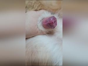 Ethics & Fantasies: A Dangerous Blend