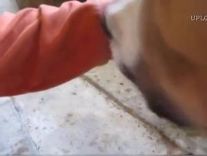 Esplorazioni tabu: Adilia in una relazione bestiale intensa e irrefrenabile