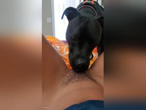 Exclusive Revelations: OnlyFans Zoo