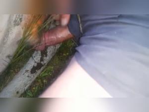 Explicit HD Beastality Videos