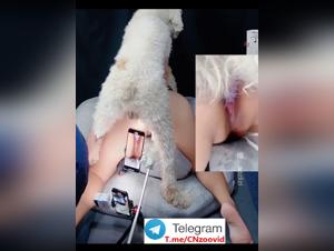 Emozioni selvagge: il richiamo istintivo di una giovane donna e del suo cane
