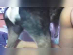 Seduzione canina: la sporca puttana e le sue oscene delizie