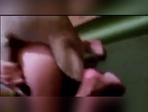 Dog Sex Moments You Can't Miss