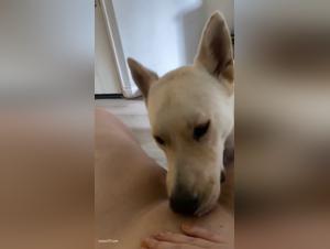 Beastiality Comics: Exploring the Narrative