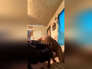 Unique Experience: Canine Sodomy and Raw Pleasure