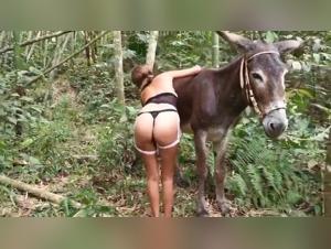 Alison and the Donkey: a story of bestiality and extreme sex