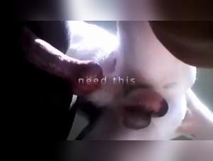 Sensualita grezza, appuntamenti fatali Dog-Female