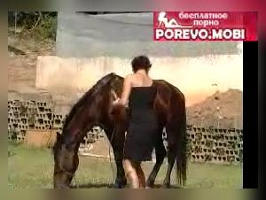 Schizzi selvaggi e dominazione degli animali nella finca