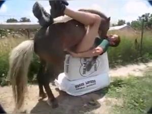 animal bestiality horse
