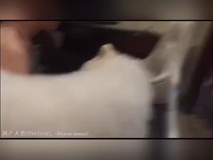 Discover our selection of sex videos with animals