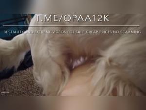 Check out this dog sex video featuring a sexy woman