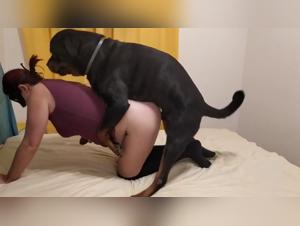 Discover the limits of ecstasy with our selection of bestiality videos