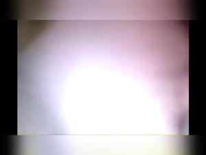 Extreme sex video with a girl and a dog