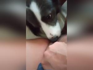 Watch This Woman And Her Dog In A Shocking Zoophilia Scene